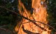Hoe maakten Aboriginals brand?