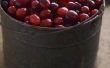 Merken van Cranberry sap