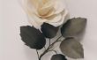 How to Make gesneden rozen bloeien 's nachts