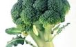 Wat Is het verschil tussen Broccoli & Broccoli spruiten?