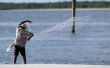 Hoe te vangen Mullet vissen in Florida