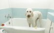 Hoe om te mengen een jodium bad voor uw hond