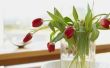 Hoe maak je tulpen Stand Up in de vaas