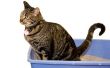 Hoe te stoppen met uw kat van het urineren en poepen ongepast