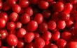 Hoe bewaart u verse Cranberries