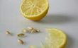 Hoe om te beginnen met citroen zaden binnenshuis
