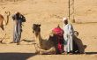 Hoe maak je een Lawrence of Arabia kostuum