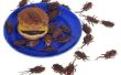 Is het OK om vacuüm dode kakkerlakken?