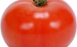 Hoe te verminderen gezichtshuid poriën door wrijven tomaten op het gezicht