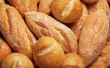 Wat Is de stam van brood schimmel?