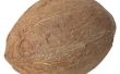 Het toepassen van kokosolie om te voorkomen dat haaruitval
