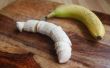 Hoe om te voorkomen dat gesneden bananen draaien Brown