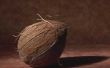 Hoe groeien planten in kokos