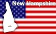 Wetten van de bewaring van het kind van de New Hampshire