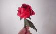 Hoe maak je je eigen Rose Origami