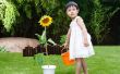 Feiten over zonnebloem planten voor kinderen