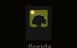 Het wijzigen van residentie naar Florida