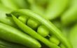 Hoe Mendel Cross-Pollinated Pea planten