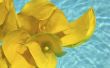 Hoe maak je een zwevende zwembad bloemstuk