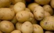 Wat zijn gouden aardappelen?