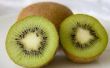 Wanneer Kiwi vruchten plukken?