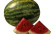 Hoe te knippen een watermeloen voor een partij