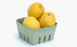 Het gebruik van citroenen geweekt in Water voor vlooien in uw huis