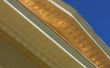 Hoe om te doden van zwarte schimmel in de dakrand van een dak