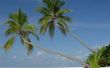 De beste Hotels in Cancun voor Spring Break