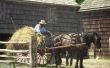 Gender Roles van de Amish