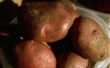 Hoe kan rode aardappelen