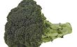 Hoe maak je Broccoli diep groen wanneer ik Cook It
