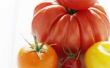 Wat kan ik doen met overgebleven verse tomaten?