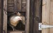 Kunnen kippen worden gehouden gesloten in een Coop voor langere periodes in de Winter?
