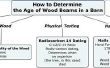 Het bepalen van de leeftijd van houten balken in een schuur