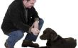 How to Train een pup met gehoorzaamheid commando 's