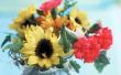 Wat bloemen kan geregeld worden met zonnebloemen?