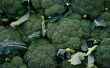 Broccoli: De serieuze speler In producten