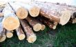 Wat voor soort hout moet worden gebruikt in een aanhangwagen?