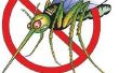 Hoe te genezen van muggenbeten