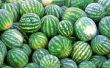 De reden voor zachte watermeloenen