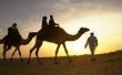 Feiten over de mensen in de Arabische woestijn