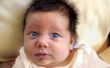 Zwarte & wit baby stimulatie kaarten & cognitieve ontwikkeling