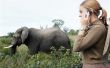 Hoe herken ik het verschil tussen mannelijke en vrouwelijke olifanten