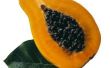 Het gebruik van Papaya zaden voor controle van de parasiet