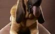 Welke oorzaken Bloodhounds aanval?