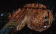 Hoe te braden biefstuk in een kachel