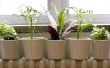 Wat zijn de verschillen tussen de kamerplanten & buiten planten?
