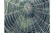 Hoe maak je een realistische spinnenweb