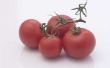 Hoe vertragen of tomaten rijpen